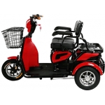 ESH-6112 ECO Three Wheel Electric Scooter
